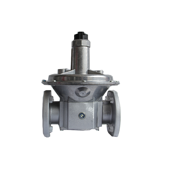 Dungs FRS5050調壓閥d2